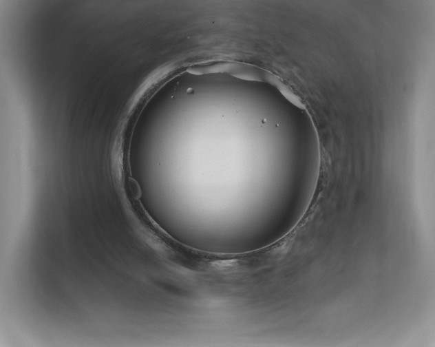 X0000111790054200907231151