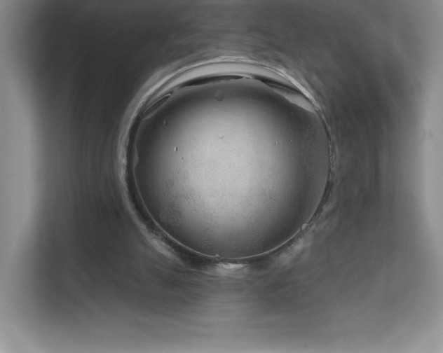 X0000111790055200907231151