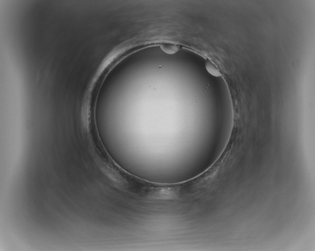 X0000111790056200907231151