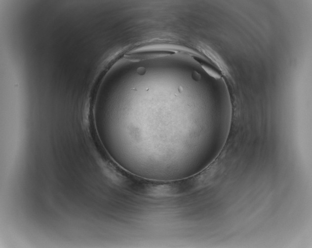 X0000111790058200907231151