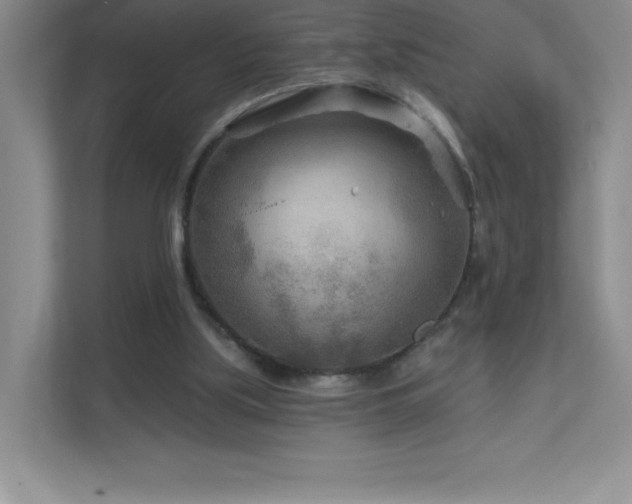 X0000111790059200907231151