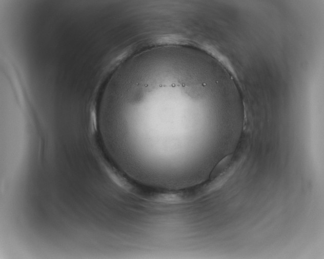 X0000111790061200907231151