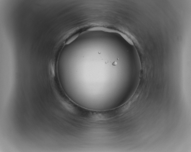 X0000111790062200907231151