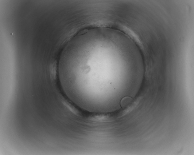 X0000111790065200907231151