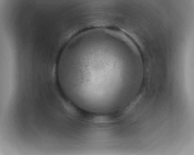 X0000111790066200907231151