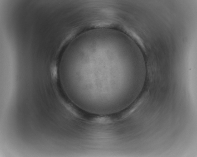 X0000111790067200907231151