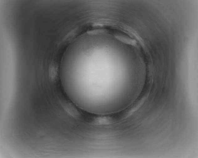 X0000111790073200907231151