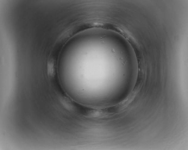 X0000111790074200907231151