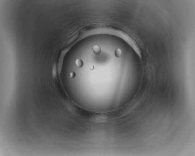 X0000111790075200907231151