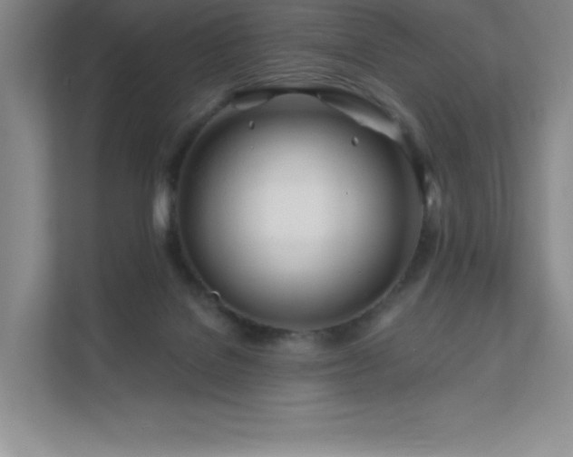 X0000111790076200907231151