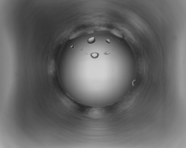 X0000111790077200907231151