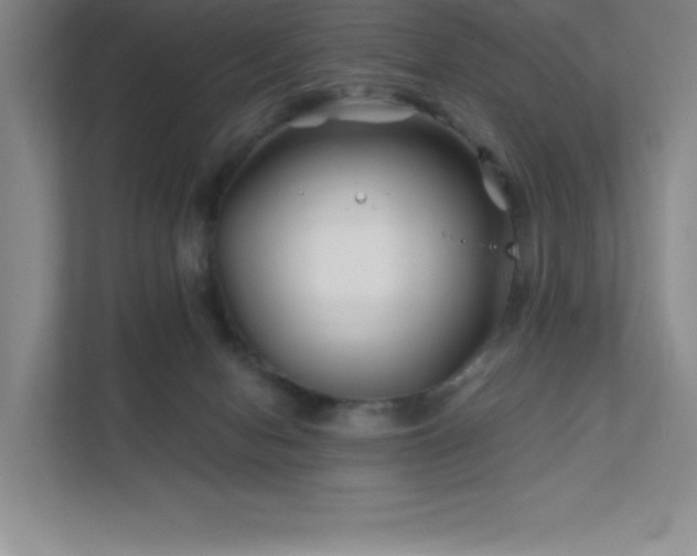 X0000111790078200907231151