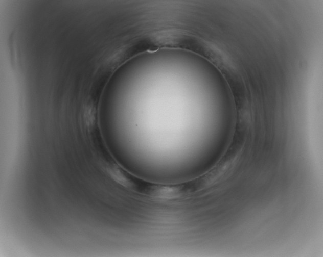 X0000111790081200907231151