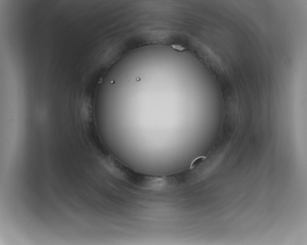 X0000111790083200907231151