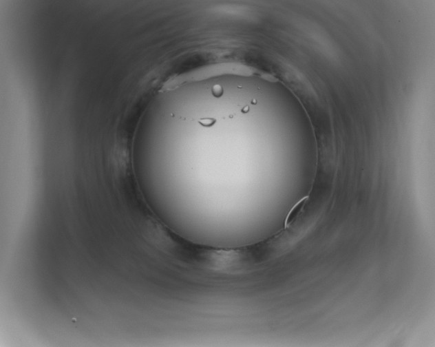 X0000111790085200907231151