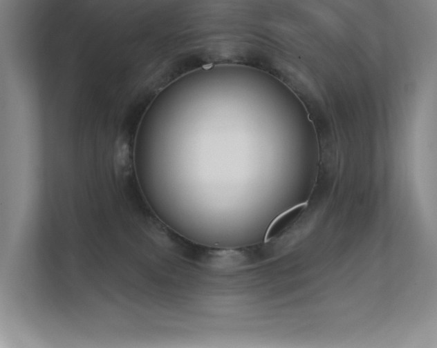 X0000111790087200907231152