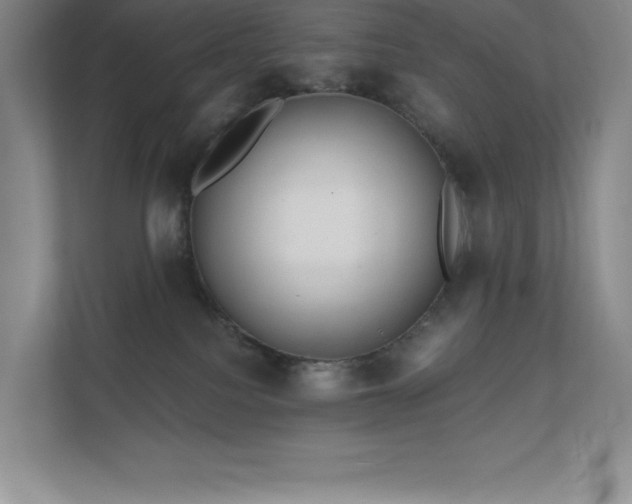 X0000111790088200907231152