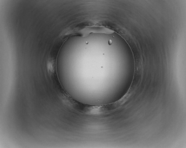 X0000111790090200907231152