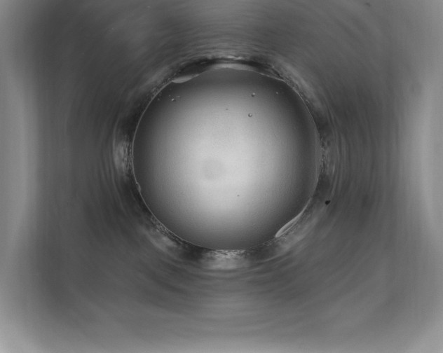 X0000111790093200907231152