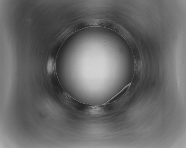 X0000111790095200907231152