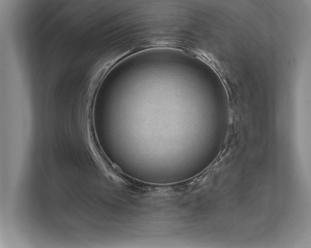 X0000111790097200907231151