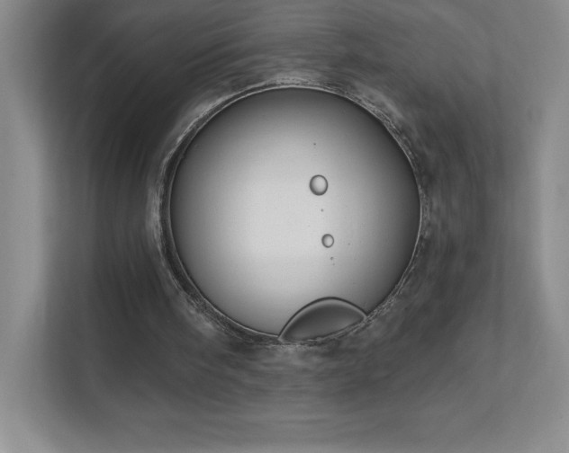 X0000111790098200907231151