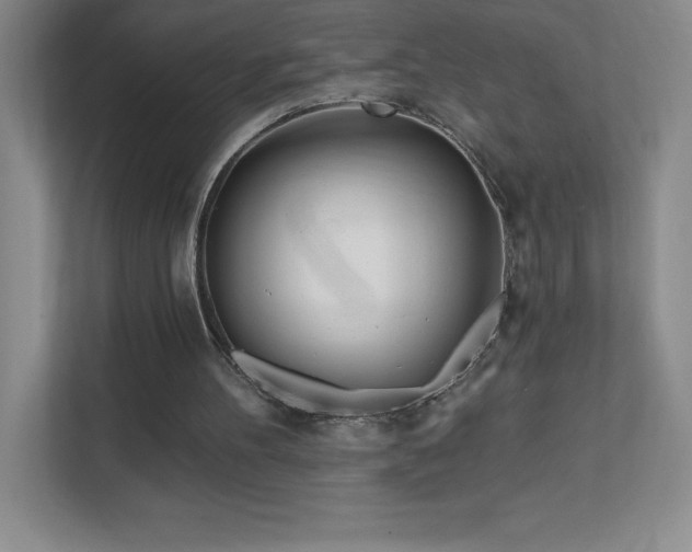 X0000111790100200907231151