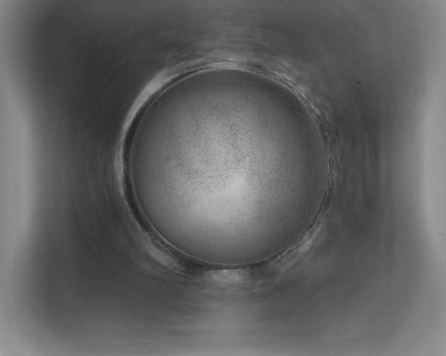 X0000111790102200907231151