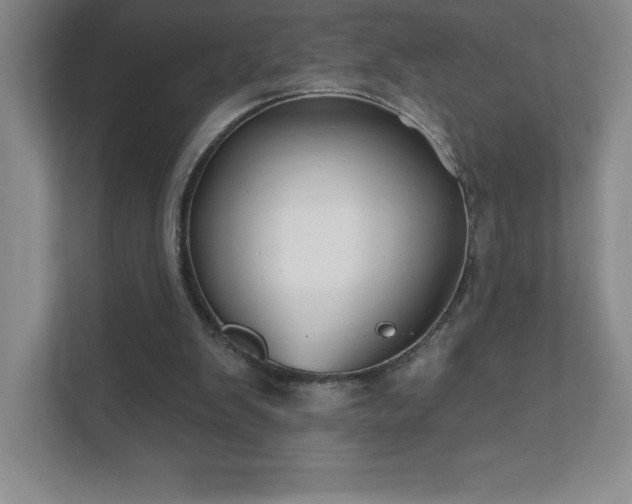 X0000111790103200907231151