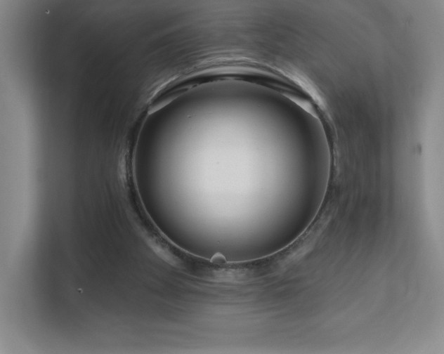 X0000111790105200907231151