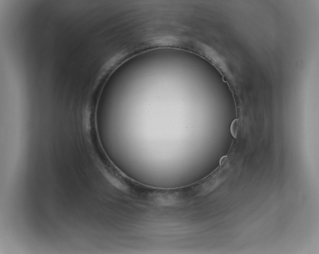 X0000111790106200907231151