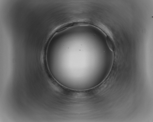 X0000111790107200907231151