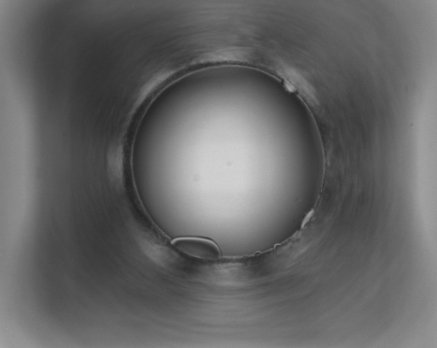 X0000111790108200907231151