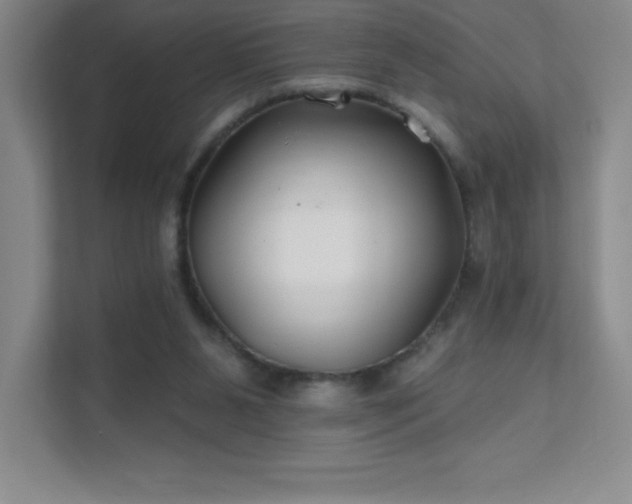 X0000111790111200907231151