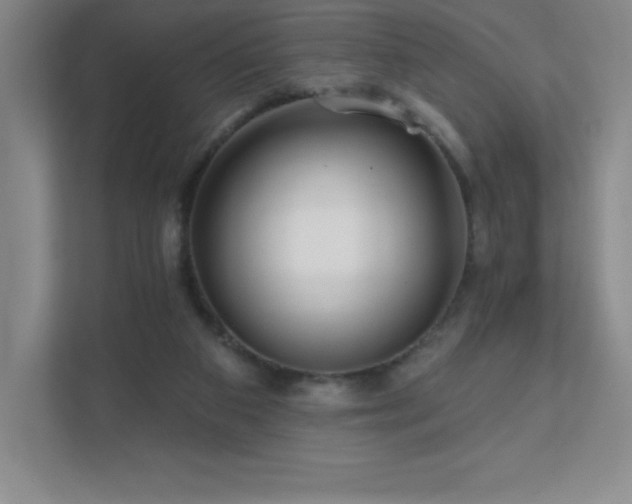 X0000111790113200907231151