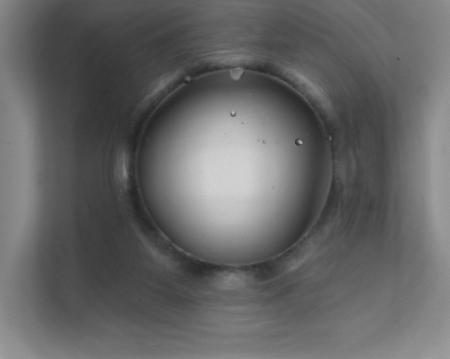 X0000111790115200907231151