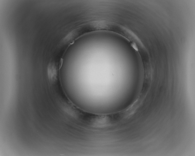 X0000111790124200907231151