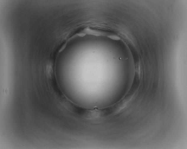 X0000111790127200907231151