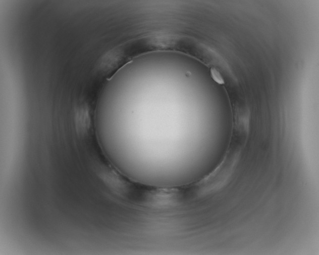 X0000111790128200907231151