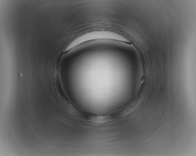 X0000111790129200907231151