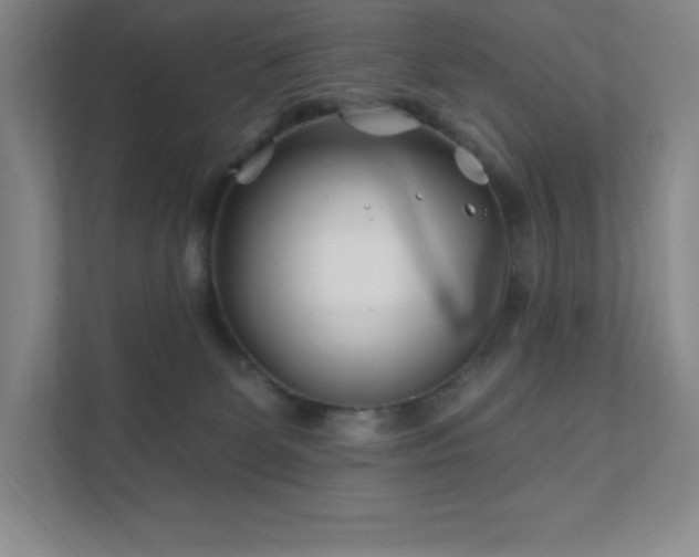 X0000111790131200907231151