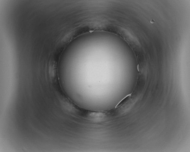 X0000111790133200907231151