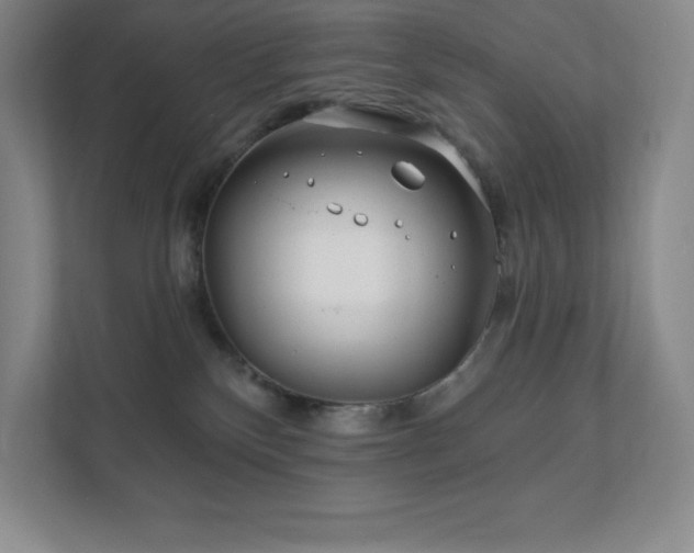 X0000111790136200907231150