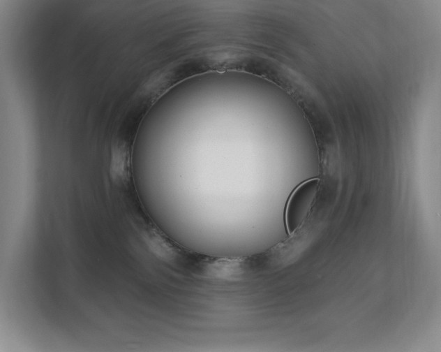 X0000111790138200907231150