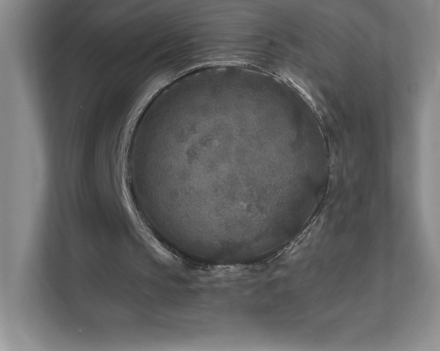 X0000111790145200907231150