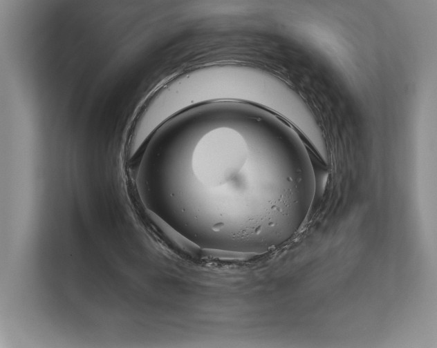 X0000111790146200907231150