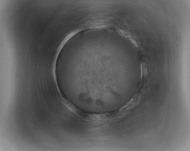 X0000111790147200907231150