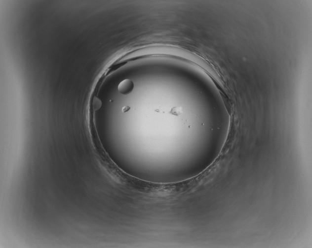 X0000111790148200907231150