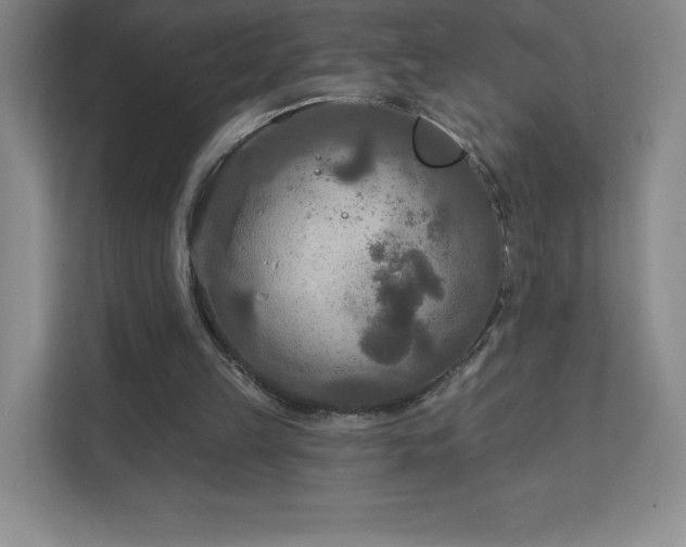 X0000111790149200907231150