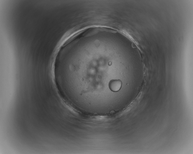 X0000111790151200907231150